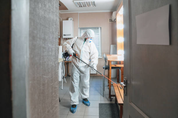 Reliable New Carrollton, MD Mold Removal Solutions