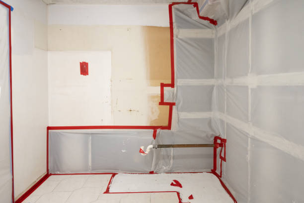 Best Mold Prevention Services  in New Carrollton, MD