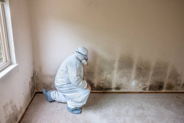 Best Forensic Mold Investigation  in New Carrollton, MD